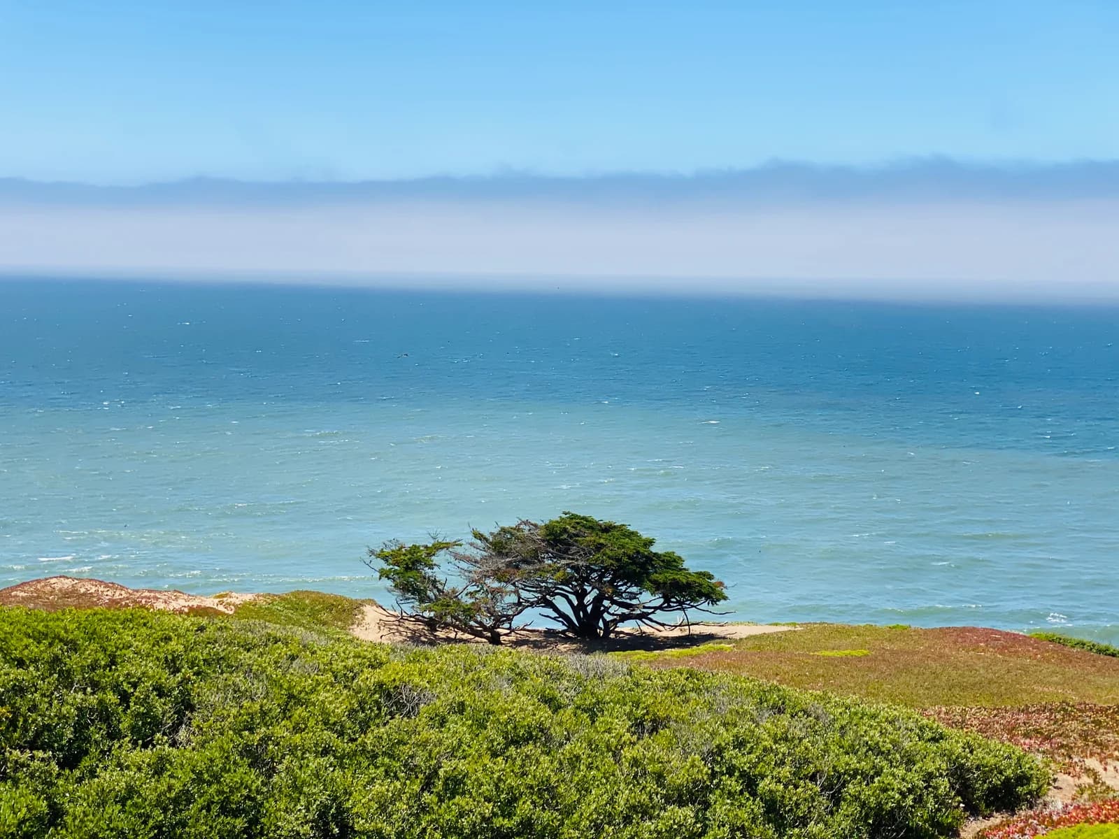 The Pacific Ocean and coastal landscape in Pacifica, California